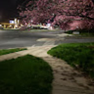 Meet your Posher, Franklin cruz